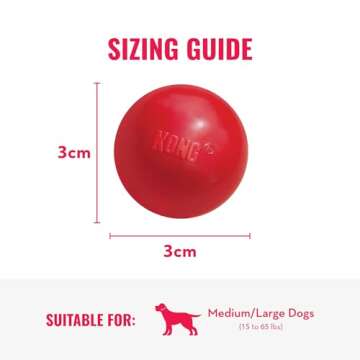 KONG Ball with Hole - Dog Fetch Toy - Durable Dog Ball Toy for Training, Interactive Playtime & More - Natural KONG Classic Rubber Ball for Dogs - Red, For Large/Medium Dogs