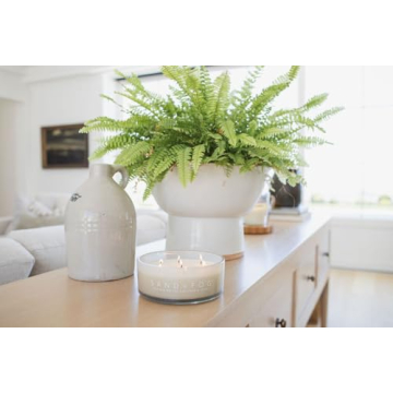 Sand + Fog Scented Candle - Tropical Citrus Additional Scents and Sizes 100% Cotton Lead-Free Wick Luxury Air Freshening Jar Candles Perfect Home Decor for Your Cocktail Table 34 oz, Orange,Violet