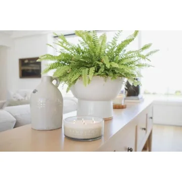 Sand + Fog Scented Candle - Tropical Citrus Additional Scents and Sizes 100% Cotton Lead-Free Wick Luxury Air Freshening Jar Candles Perfect Home Decor for Your Cocktail Table 34 oz, Orange,Violet