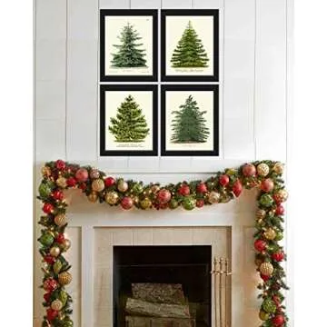 LoveThePrint Pine Tree Christmas Holiday Wall Art Home Decor Print Set of 4 Unframed Beautiful Botanical Nordmann Fir or Caucasian Fir Norway Spruce Scotch Pine Japanese Larch Gift Present
