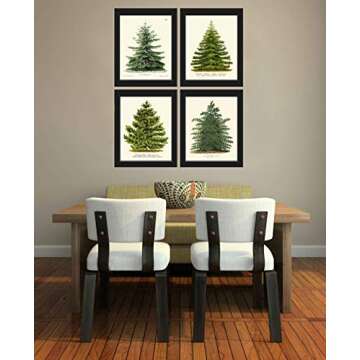 LoveThePrint Pine Tree Christmas Holiday Wall Art Home Decor Print Set of 4 Unframed Beautiful Botanical Nordmann Fir or Caucasian Fir Norway Spruce Scotch Pine Japanese Larch Gift Present