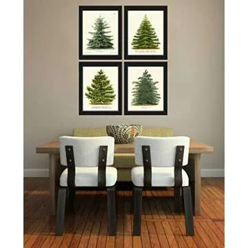 LoveThePrint Pine Tree Christmas Holiday Wall Art Home Decor Print Set of 4 Unframed Beautiful Botanical Nordmann Fir or Caucasian Fir Norway Spruce Scotch Pine Japanese Larch Gift Present