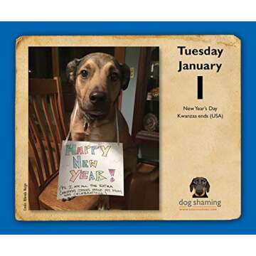 Dog Shaming 2019 Day-to-Day Calendar