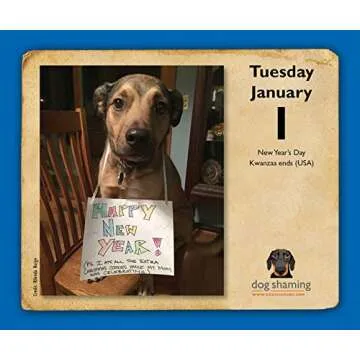 Dog Shaming 2019 Day-to-Day Calendar