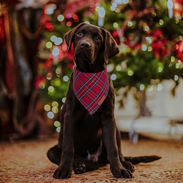 ADOGGYGO Christmas Dog Bandana Stylish Plaid Scarf