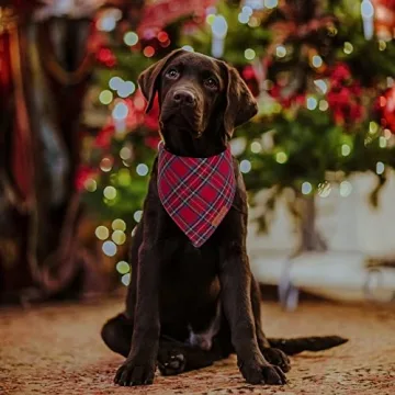 ADOGGYGO Christmas Dog Bandana Stylish Plaid Scarf