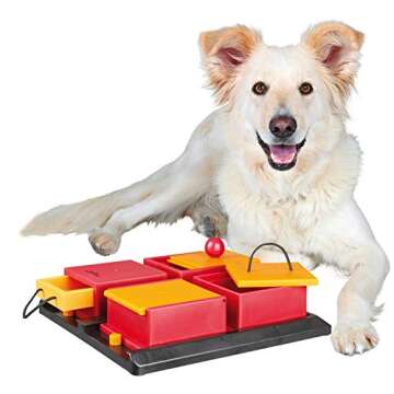 Trixie Activity Poker Box Dog Toy, 12" L X 12" W X 3.75" H by TRIXIE Pet Products