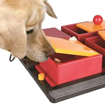 Trixie Activity Poker Box Dog Toy, 12" L X 12" W X 3.75" H by TRIXIE Pet Products
