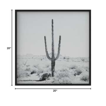 Amazon Brand – Stone & Beam Modern Black and White Desert Cactus Photo on Wood, Black Frame, 20" x 20"