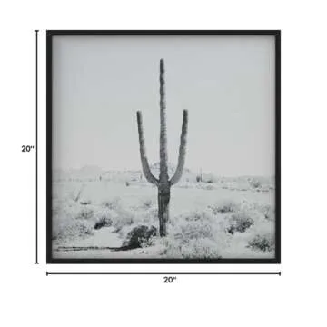 Stone & Beam Black and White Desert Cactus Photo 20x20