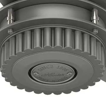 Hunter Fan Company, 59236, 54 inch Chronicle Matte Silver Indoor / Outdoor Ceiling Fan and Wall Control