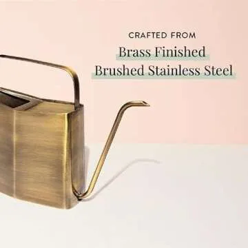 Stylish Modern Sprout Brass Watering Can for Plants