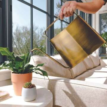Stylish Modern Sprout Brass Watering Can for Plants