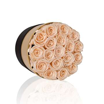 Perfectione Roses Forever Real Roses in a Box Preserved Rose That Last Up to 3 Years, Long-Lasting Rose Valentines Day Gifts for Her Birthday Gifts for Wife Mothers Day Flower (Buttermilk)