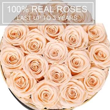 Perfectione Roses Forever Real Roses in a Box Preserved Rose That Last Up to 3 Years, Long-Lasting Rose Valentines Day Gifts for Her Birthday Gifts for Wife Mothers Day Flower (Buttermilk)