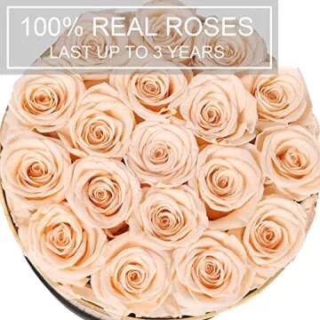 Perfectione Roses Forever Real Roses in a Box Preserved Rose That Last Up to 3 Years, Long-Lasting Rose Valentines Day Gifts for Her Birthday Gifts for Wife Mothers Day Flower (Buttermilk)