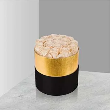 Perfectione Roses Forever Real Roses in a Box Preserved Rose That Last Up to 3 Years, Long-Lasting Rose Valentines Day Gifts for Her Birthday Gifts for Wife Mothers Day Flower (Buttermilk)