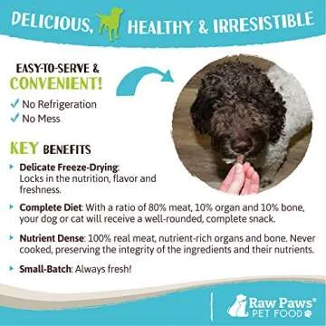 Raw Paws Free-Range Beef Freeze Dried Dog Treats & Cat Treats, 8-oz - Made in USA Raw Freeze Dried Cat Treats - Grass-Fed Cows - Grain, Wheat, Antibiotic-Free Beef Cat Treats - All Natural Pet Snacks