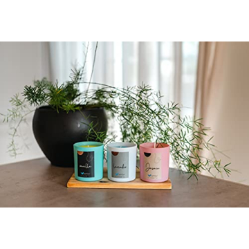 SoftOwl Premium Soy Candle Making Kit - Perfect for DIY Lovers