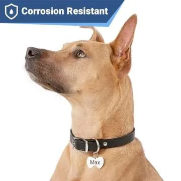 GoTags Stainless Steel Pet ID Tags, Personalized Dog Tags and Cat Tags, up to 8 Lines of Custom Text, Engraved on Both Sides, in Bone, Round, Heart, Bowtie and More (Bow Tie, Small (Pack of 1))