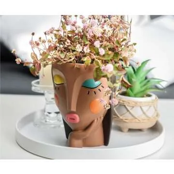 Saysmile Unique Resin Face Planter Pots for Indoor Plants