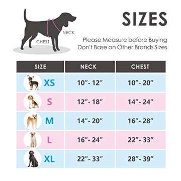 PHOEPET No Pull Dog Harness Medium Reflective Front Clip Vest with Handle,Adjustable 2 Metal Rings 3 Buckles,[Easy to Put on & Take Off](XS, Grey)