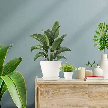 Whonline 8 Pack Plastic Plant Pots，8/7/6.5/6/5.5/5/4.5/4 Inch Flower Pots for Indoor Plants，Modern Planters with Drainage Holes and Trays for All House Plants.