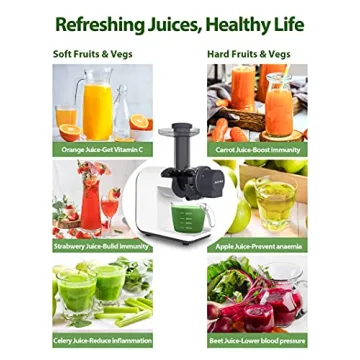 Buy Aeitto Slow Masticating Juicer for Healthy Juicing