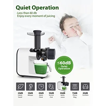 Buy Aeitto Slow Masticating Juicer for Healthy Juicing