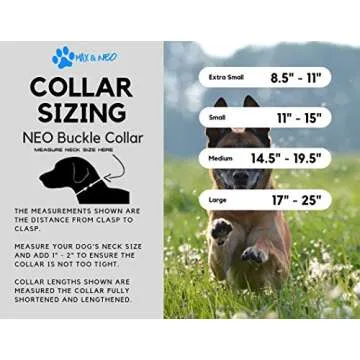 Max and Neo NEO Nylon Buckle Reflective Dog Collar - We Donate a Collar to a Dog Rescue for Every Collar Sold (Large, RED)