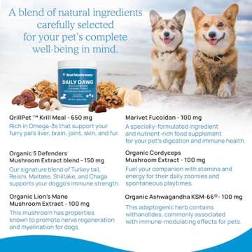Whole Dog Health with Digestive and Immune Support - (2.65 oz) Bulk Mushroom Powder Supplement & Dog Vitamins with Real Mushrooms Lion's Mane, Cordyceps Mushroom, Turkey Tail, Reishi & Shiitake