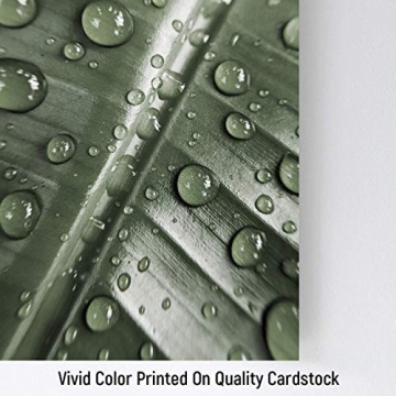 Botanical Wall Collage Kit for Teen Room Decor - Aesthetic