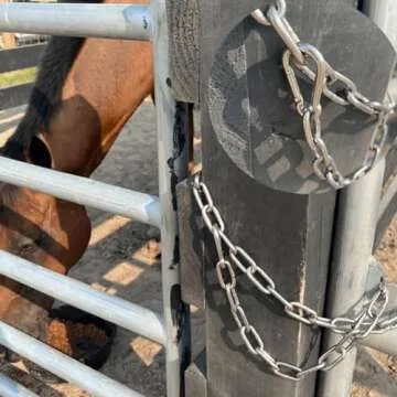 Gate Chain for Outdoor Fence with Carabiner Stainless Steel Chain Link Gate Lock for Horse Goat Dog Pet Cages Stall Supplies Wooden Fence Yard Barn