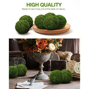 Natural Green Moss Decorative Balls for Home and Party Decor