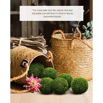Natural Green Moss Decorative Balls for Home and Party Decor