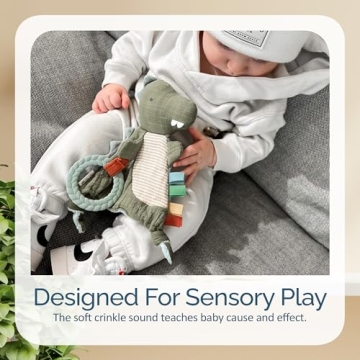 Itzy Ritzy Bitzy Crinkle Dinosaur Toy for Babies 0+