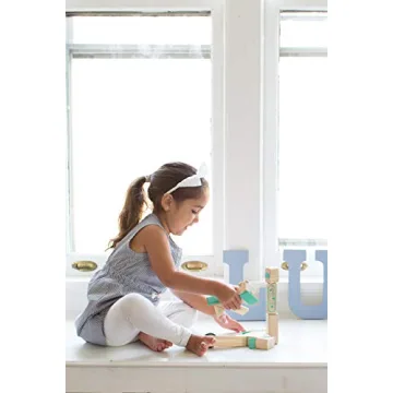 Tegu Magbot Magnetic Wooden Blocks STEM Toy Ages 1-99