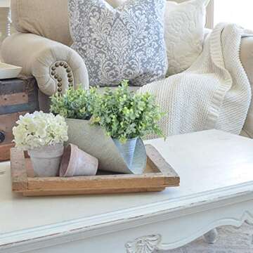 Rinlong Artificial Eucalyptus Stems for Farmhouse Decor