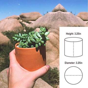 Zayla's Houseplants Cylinder Terracotta Pot - Minimal - Drainage Hole - Windowsill Size