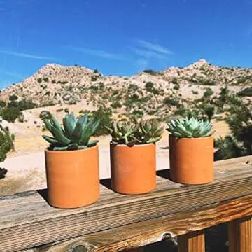 Zayla's Houseplants Cylinder Terracotta Pot - Minimal - Drainage Hole - Windowsill Size