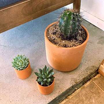 Zayla's Houseplants Cylinder Terracotta Pot - Minimal - Drainage Hole - Windowsill Size