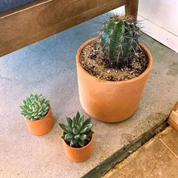 Zayla's Houseplants Cylinder Terracotta Pot - Minimal - Drainage Hole - Windowsill Size