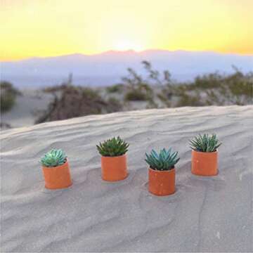 Zayla's Houseplants Cylinder Terracotta Pot - Minimal - Drainage Hole - Windowsill Size