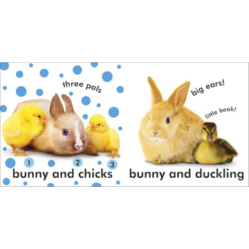 Baby Touch and Feel Bunny Book for Babies and Toddlers