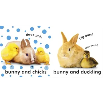 Baby Touch and Feel Bunny Book for Babies and Toddlers