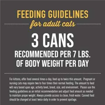 Tiki Cat After Dark Wet Cat Food - High Protein, Non-GMO