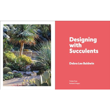 Designing with Succulents Guide for Hardy Plant Lovers