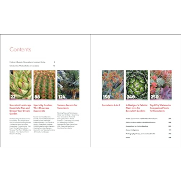 Designing with Succulents Guide for Hardy Plant Lovers