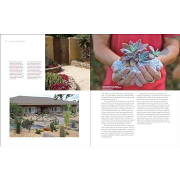 Designing with Succulents Guide for Hardy Plant Lovers