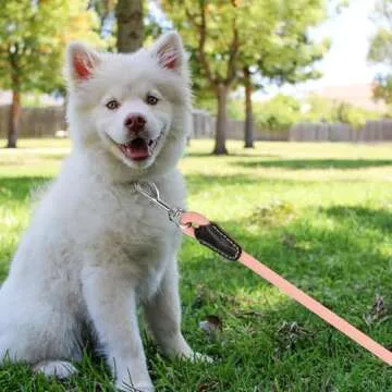 Mile High Life Dog Leash | Strong Rope Dog Leash w Premium Leather Tailor Handle | 4 Feet Dog Leash w Heavy Duty Clasp | Pink Rope Leash for Small Medium Large Dogs | Diameter 1/2"